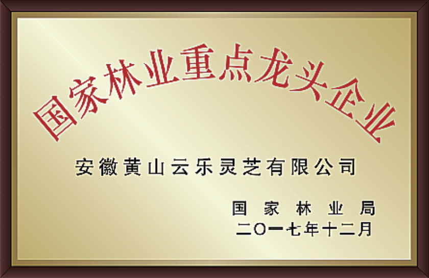国家林业重点龙头企业