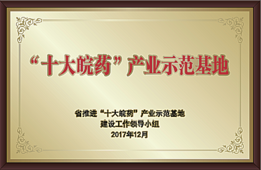 “十大皖药”产业示范基地